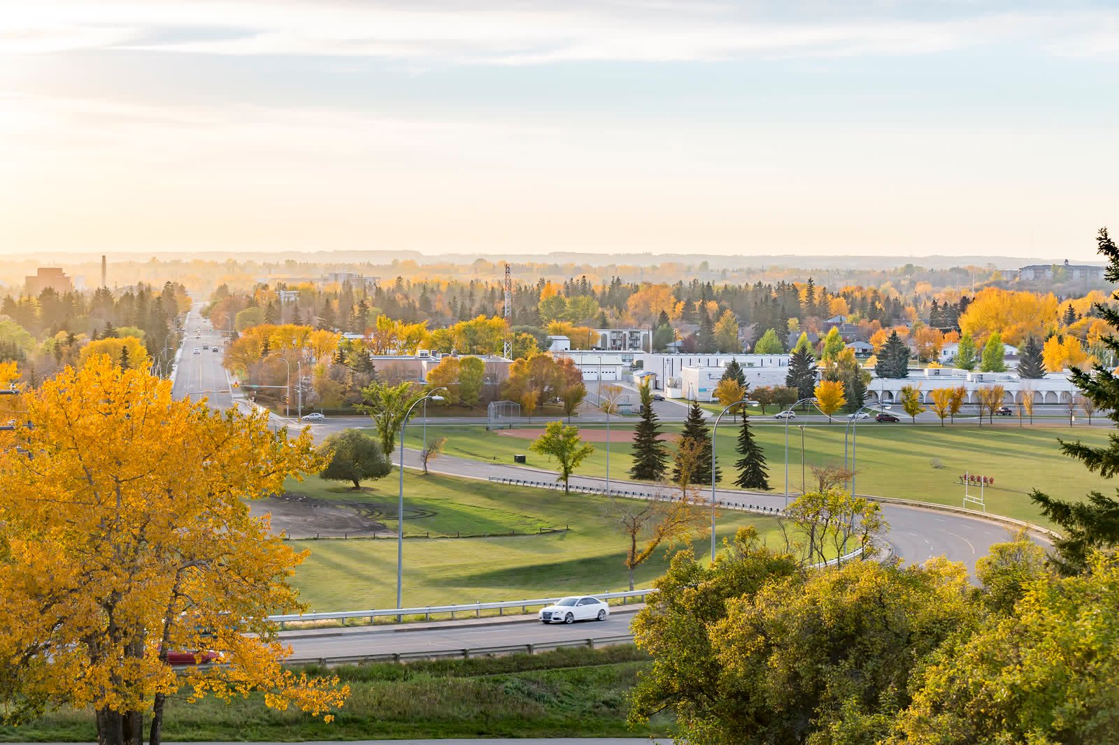 Golden fall aspens over Red Deer from Ash Hill