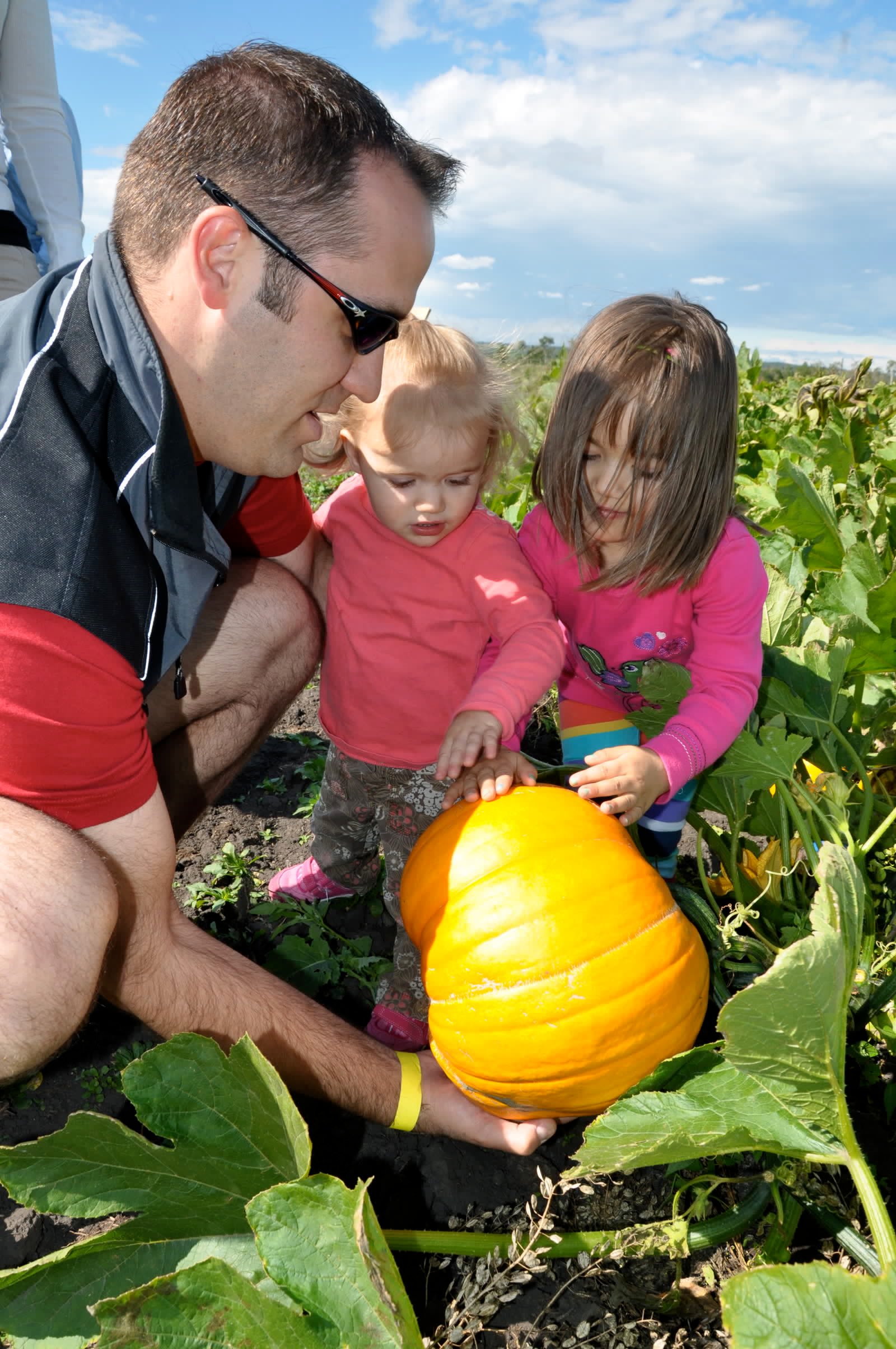Harvest season in rural Central Alberta