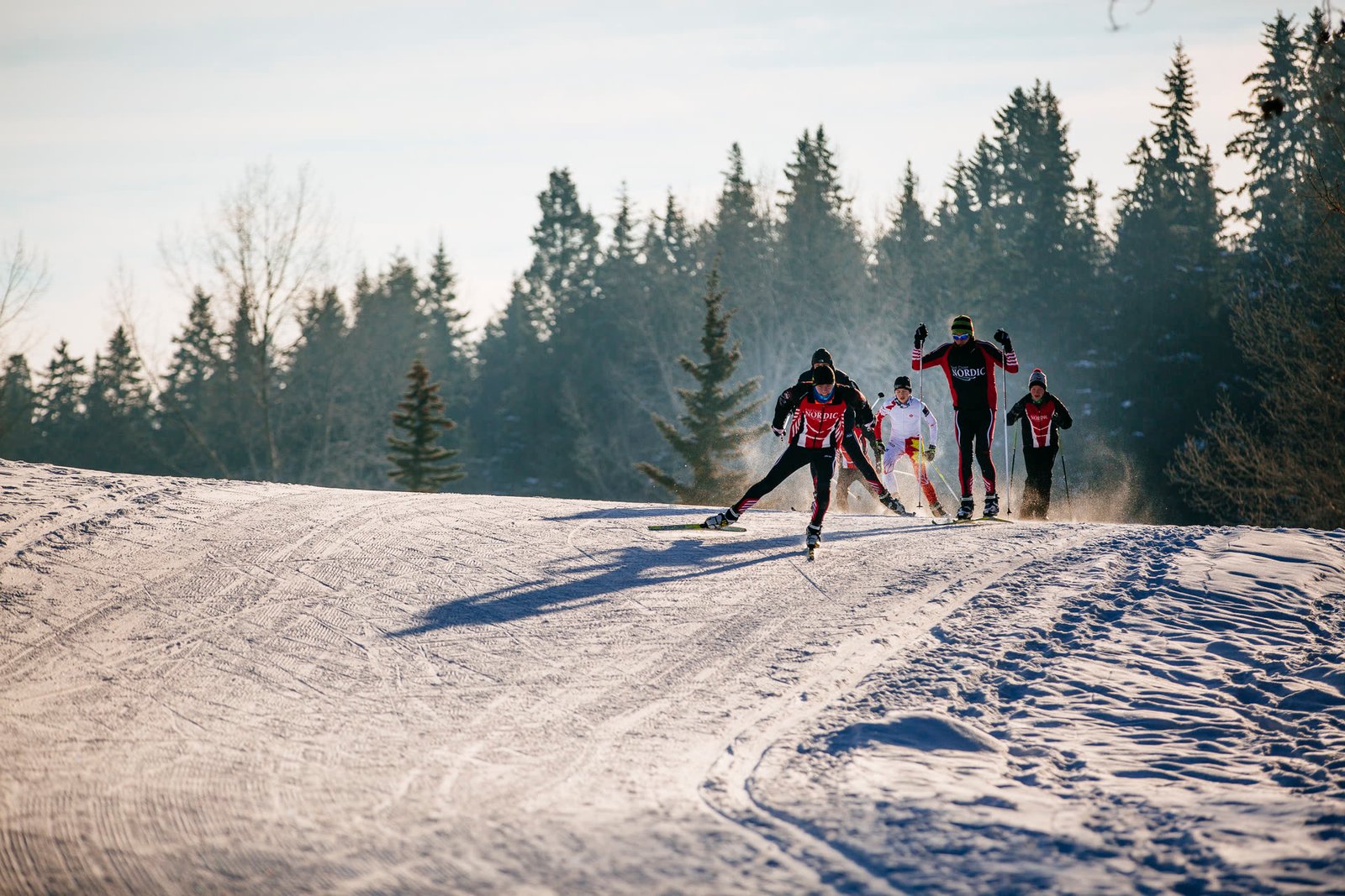 Cross-country skiing