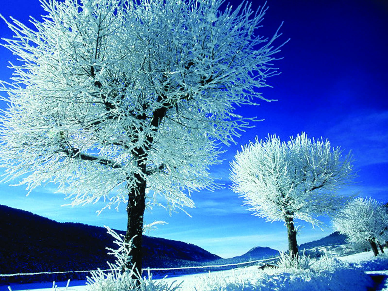 Hoar frost